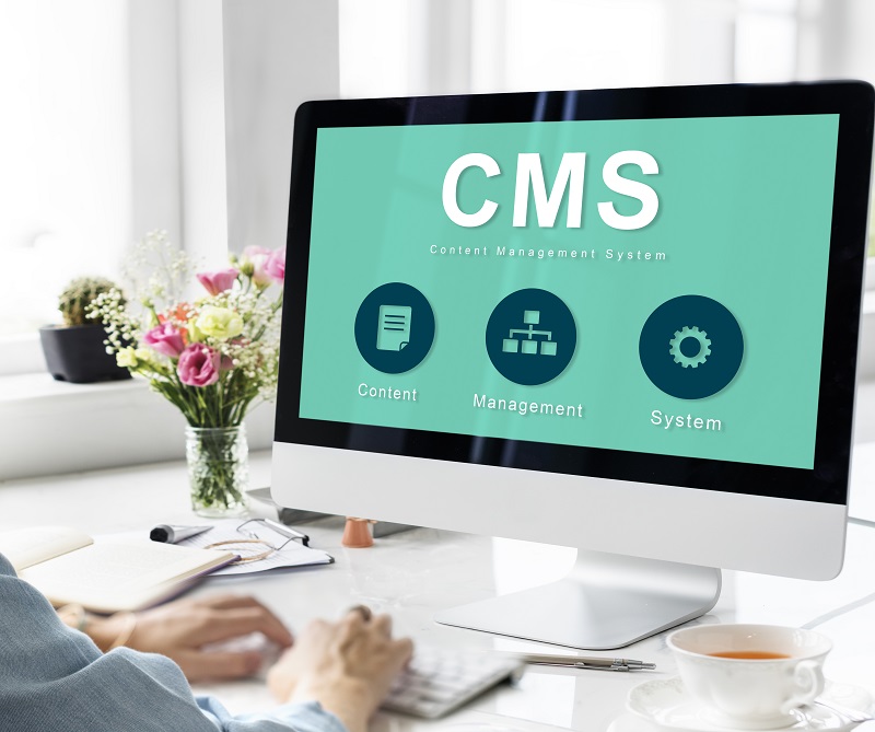 content-management-system-strategy-cms-concept-360 Web Firm Website Design Services