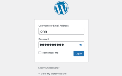 How to Prevent WordPress Spam and Login Attempts
